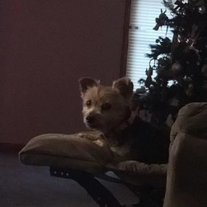 Meet your Posher, Olindo